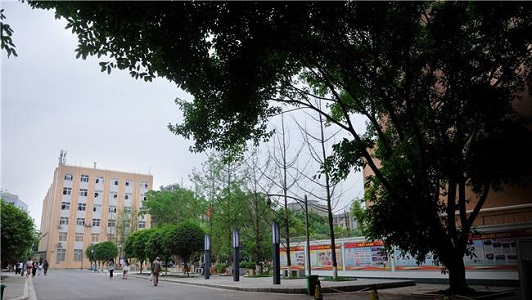 成都铁路卫生学校学费交多少(成都公办职高前十名有哪些学校)